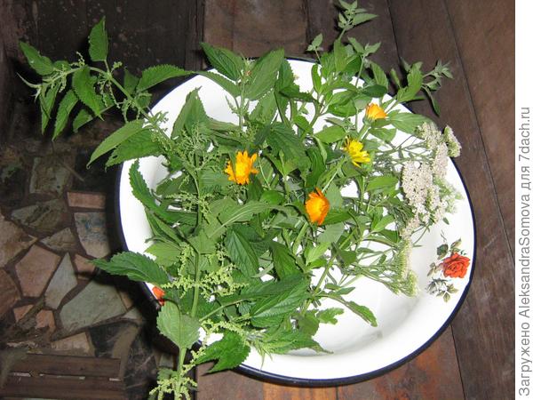 День бани на любимой даче.