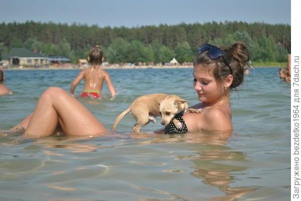 Кекс воды боится!
