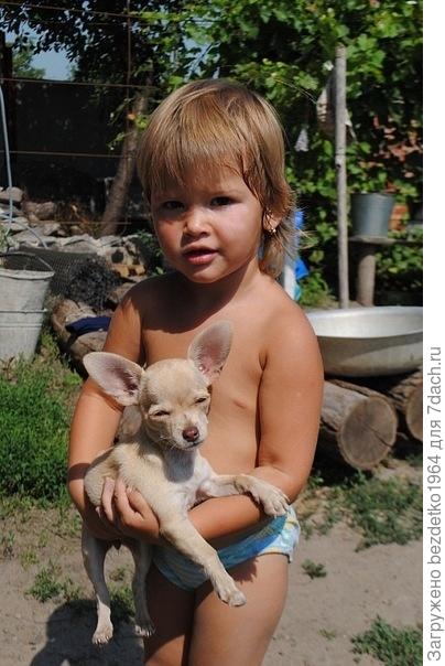 Уложить собачку спать