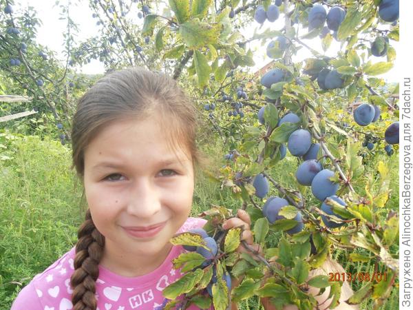 Утро. ((Алина, 9 лет.