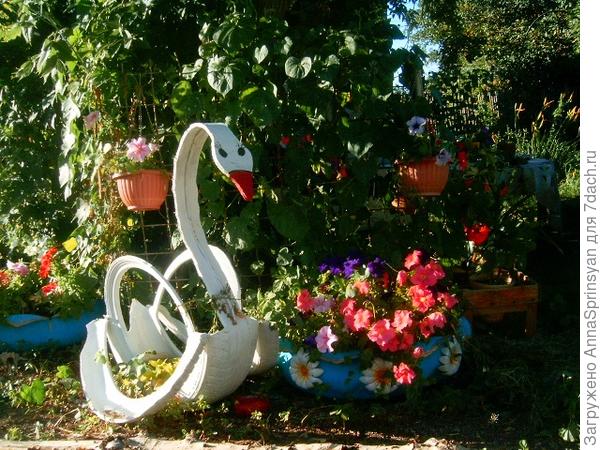 Во саду ли, в огороде...А вернее на приусадебном участке.