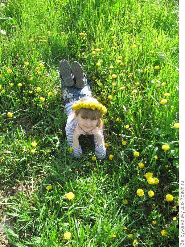 Светик - солнышко.