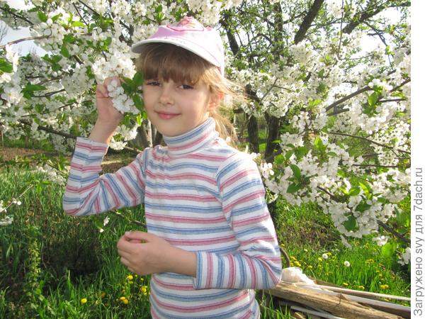 Светик - солнышко.