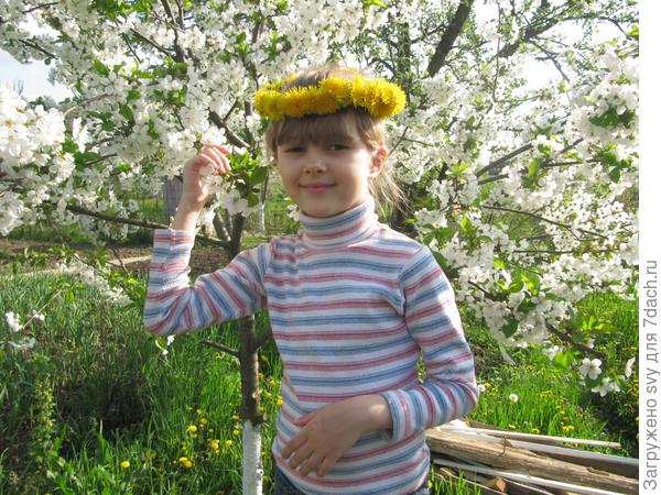 Светик - солнышко.