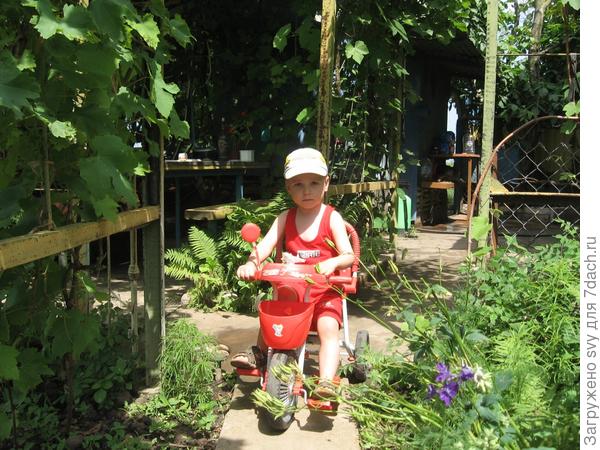 Толя и Ваня велосипедисты.