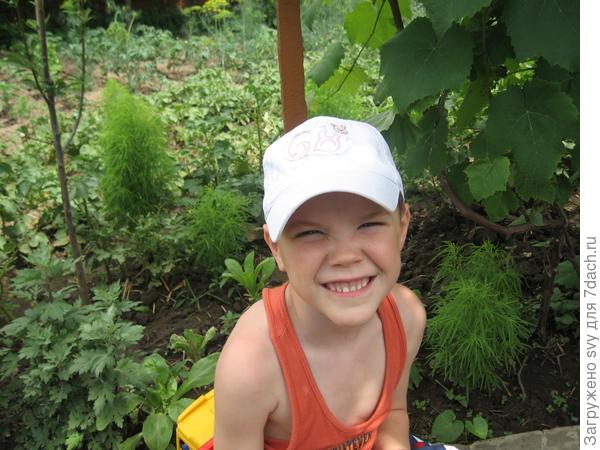 Толя и Ваня велосипедисты.