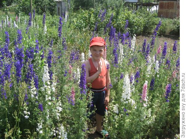 Толя и Ваня велосипедисты.