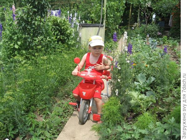 Толя и Ваня велосипедисты.