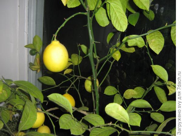 4 ноября 2013г.