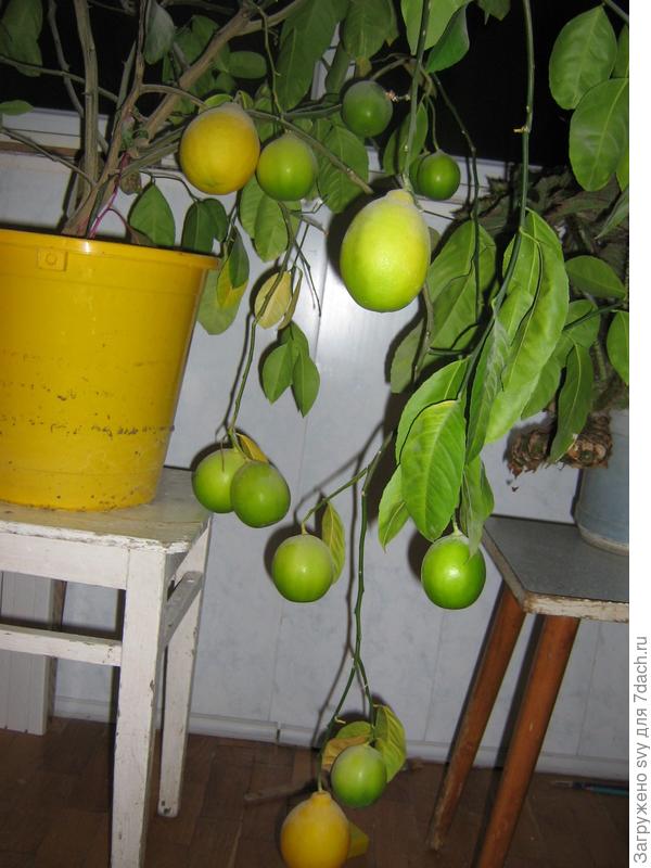 4 ноября 2013г.