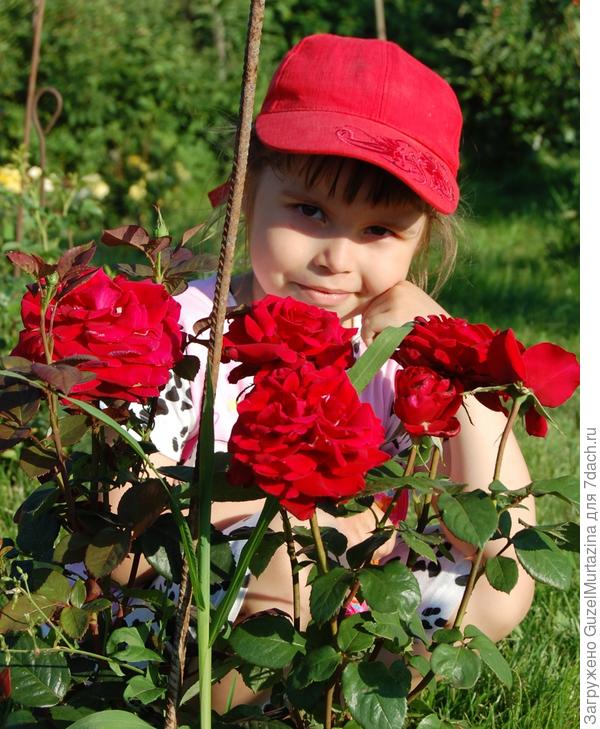 дача у воды