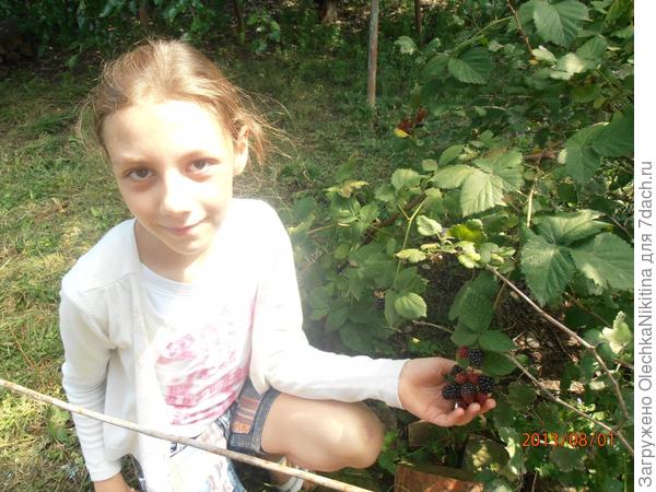 Гостья из Москвы.