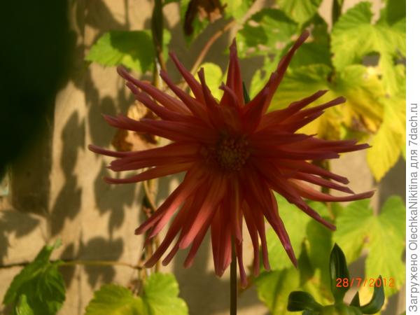 Весёлые ребята