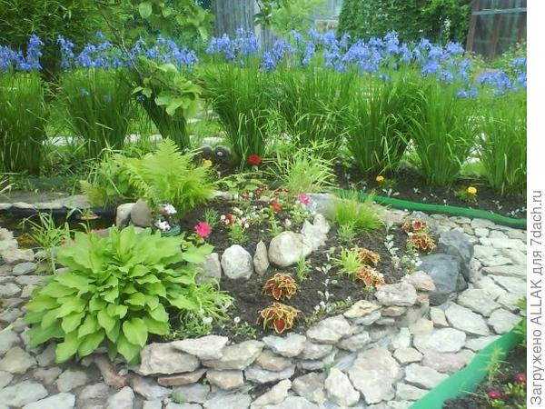 любимая дача!