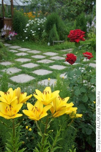 любимая дача!