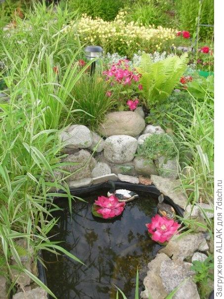 любимая дача!