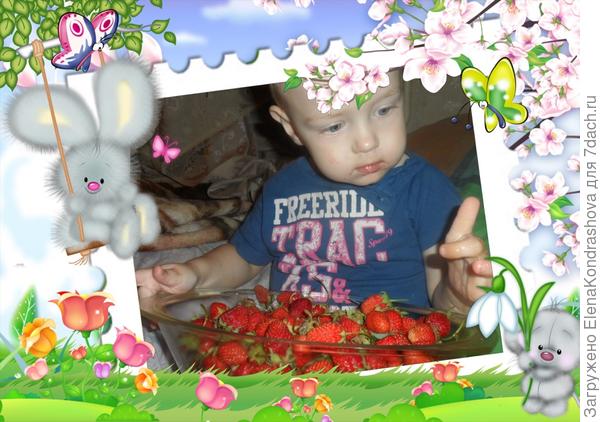 Сочное лето с хозяйским подходом!