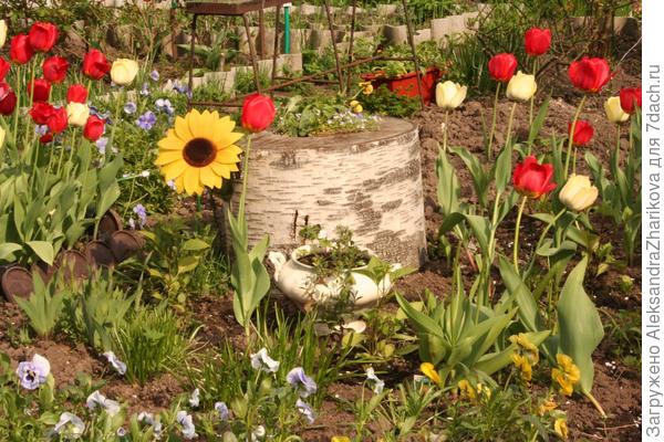 Моя любимая дача