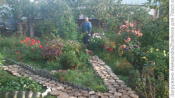 Моя любимая дача