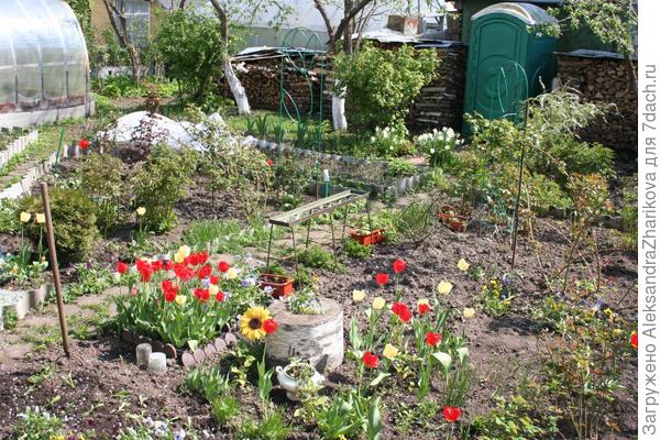 Моя любимая дача