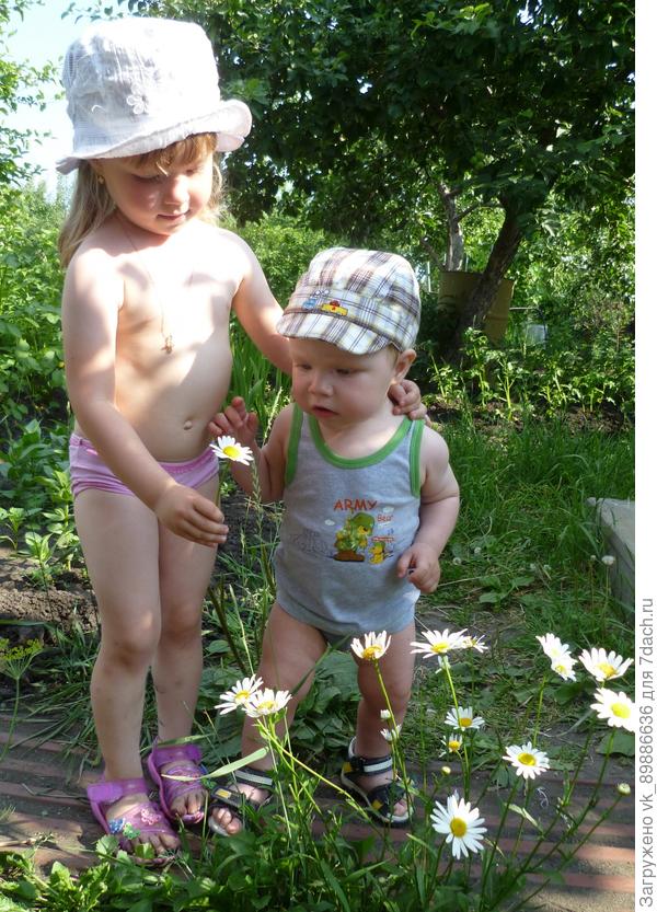 Дача глазами ребёнка.