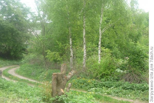 Новый дом - новое счастье