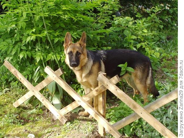 Забавная денек