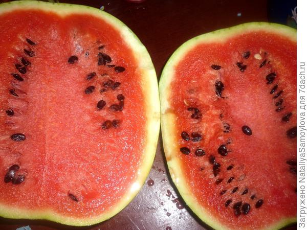 Вот такой урожай на нашей молодой даче!