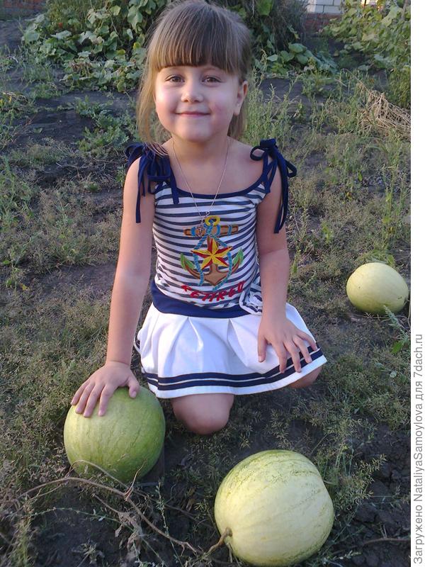 Вот такой урожай на нашей молодой даче!