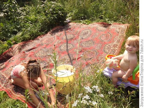 В деревне у бабушке ...
