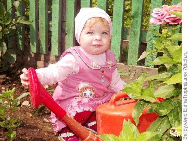 В деревне у бабушке ...