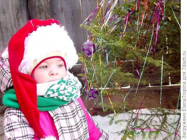 Доченька и новогодняя красавица .