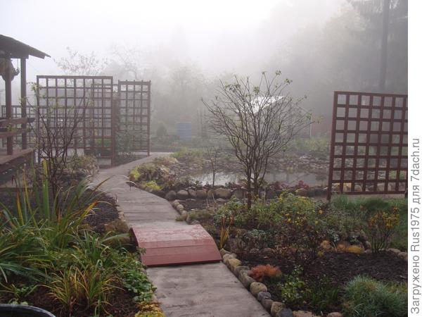 Осеннее утро