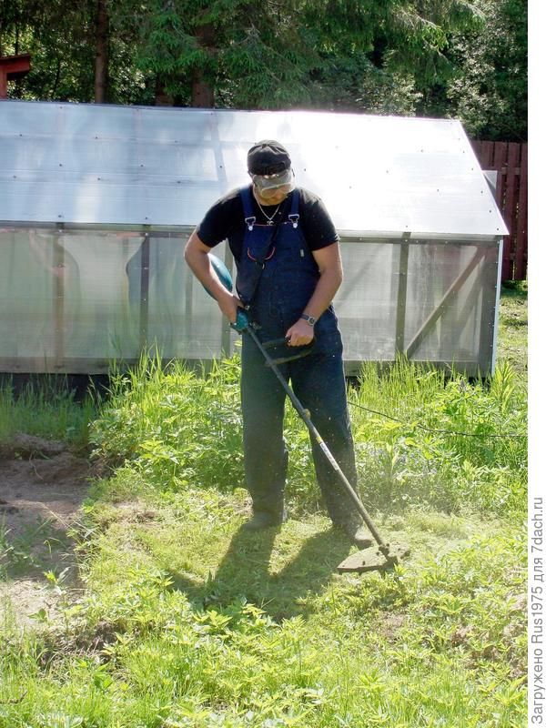 Вот так и протекает дачная жизнь.