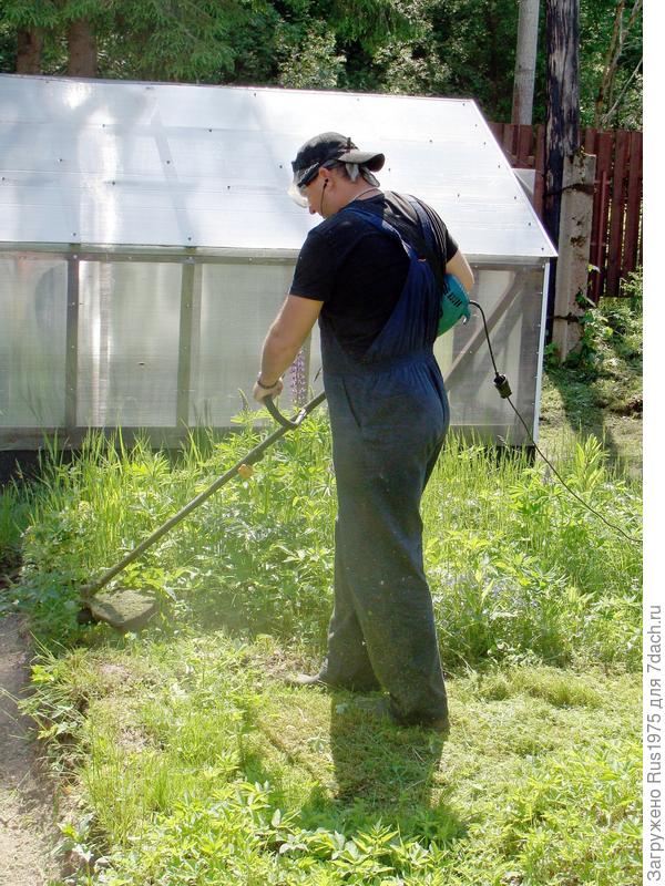 Вот так и протекает дачная жизнь.