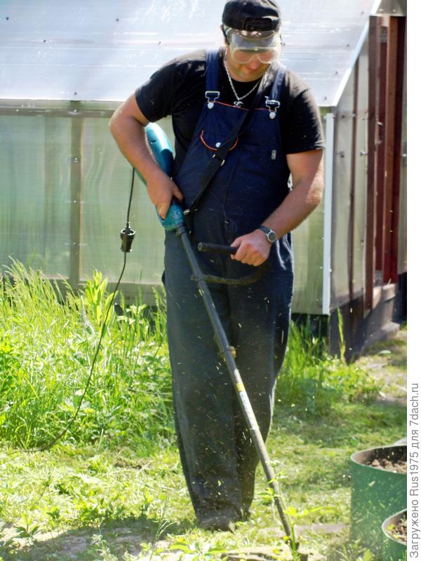 Вот так и протекает дачная жизнь.