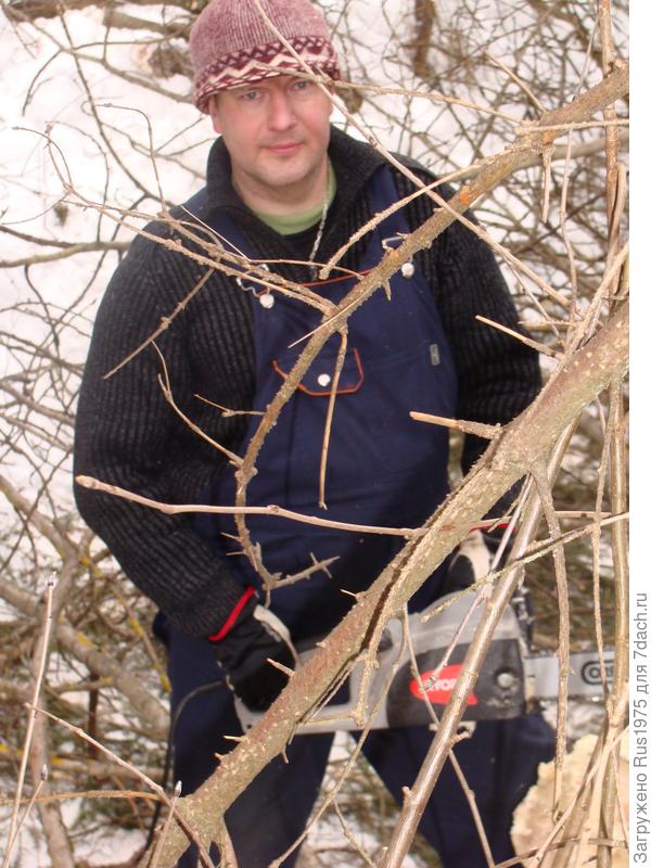 Вот так и протекает дачная жизнь.