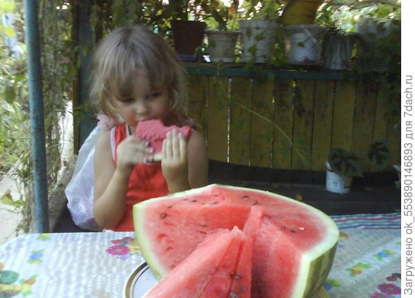 Сочное лето!
