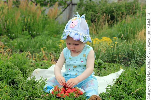 Дача - место отдыха от городской суеты.