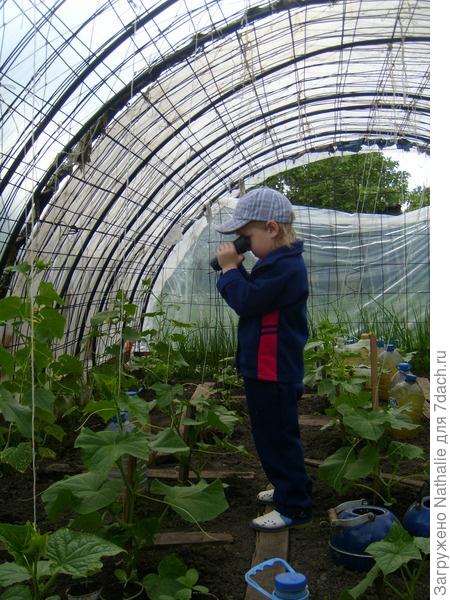 Школа юного агронома