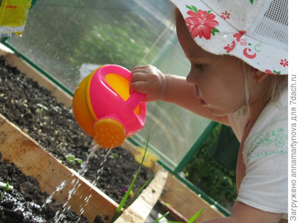 Дачница Катерина.