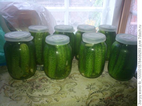 Вот такой мой огород! Забегай, смотри народ!