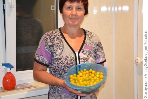 Томаты Черри