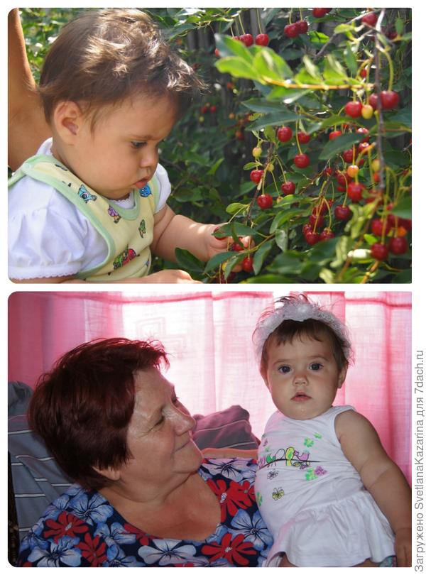 Яркие встречи на даче