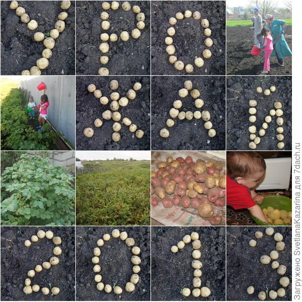 Урожай-2013 удался!