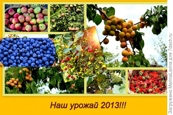Наш достойный урожай 2013!!!!