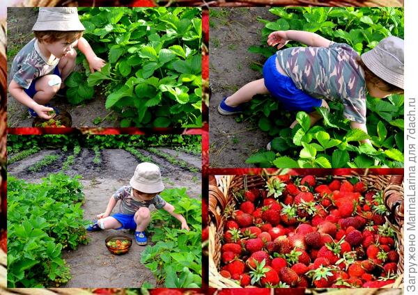 Обожаяю я клубничку!!