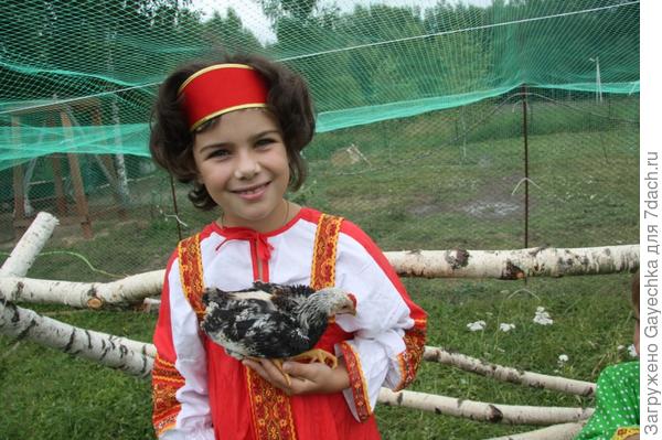 Цып-цып, мои цыплятки...