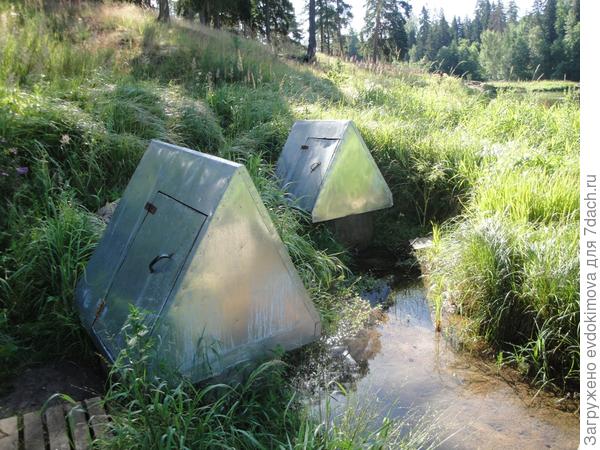 Мой Чарлик на даче