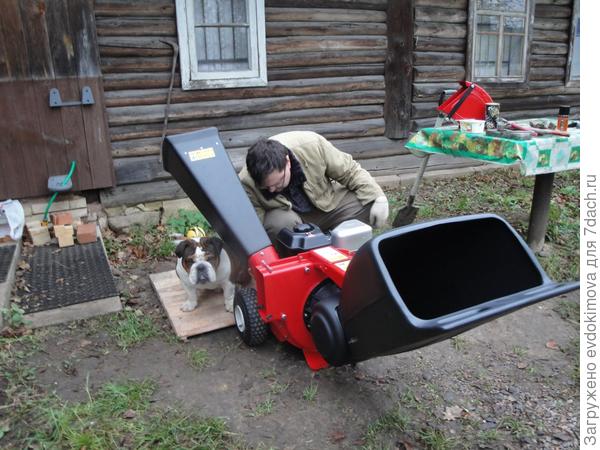 Мой Чарлик на даче